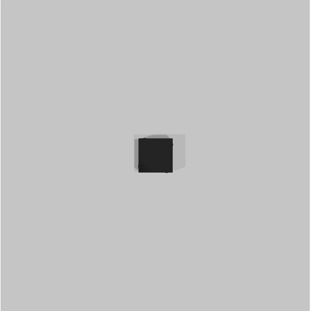 10_10 Black.webp
