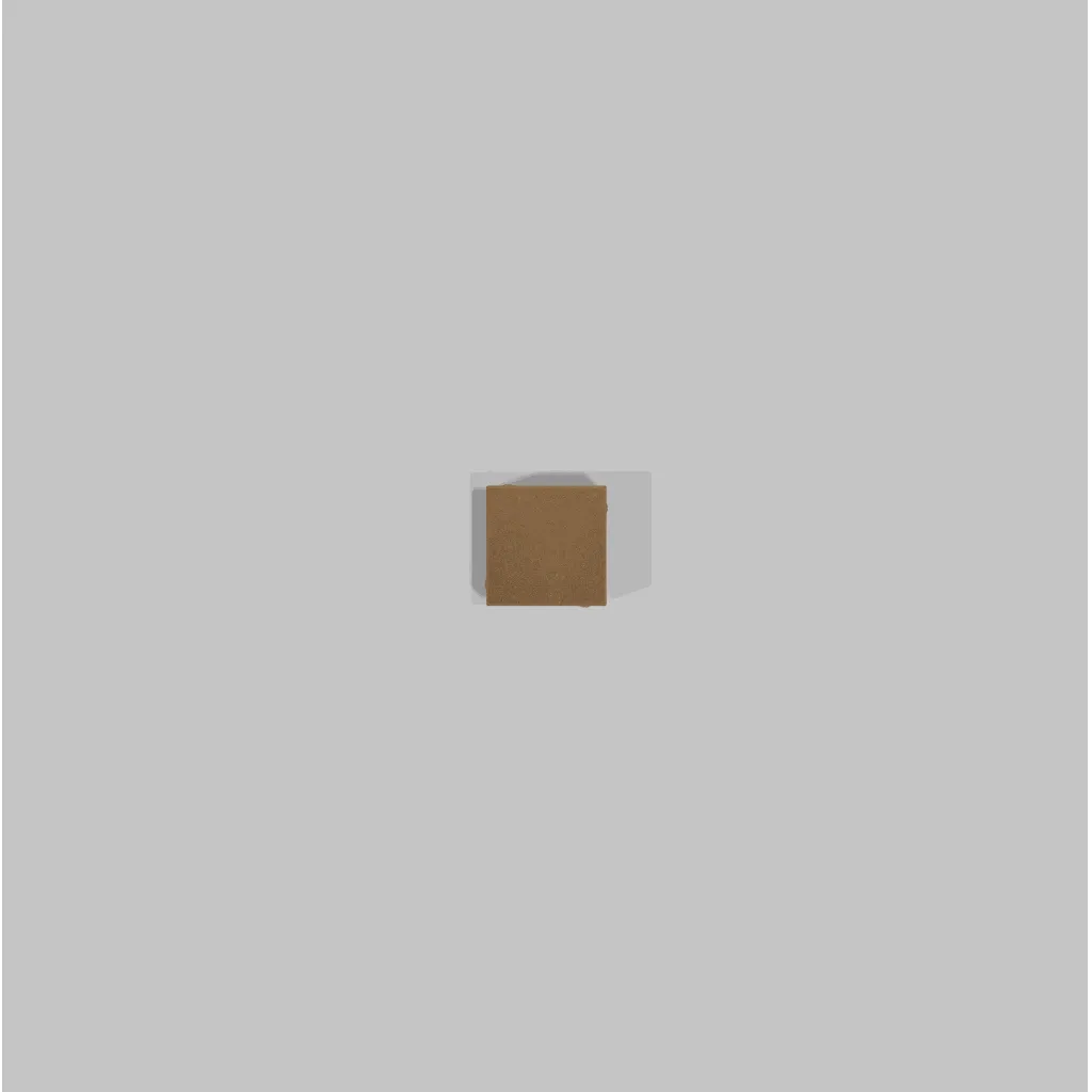 10_10 Beige.webp