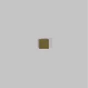 10_10 Yellow.webp
