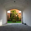 poly gray.webp